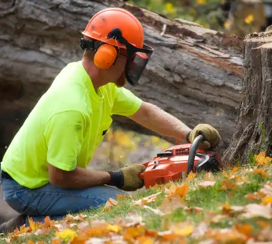 tree services Rossville